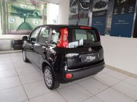 usata Fiat Panda 3ª serie 1.2 EasyPower Easy