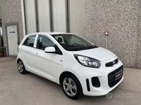 Usata Kia Picanto 67 CV (49 kW) 2016 Bianco Utilitaria
