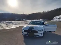 Usata Ford Mustang 291 CV (214 kW) 2019 Bianco Coupé