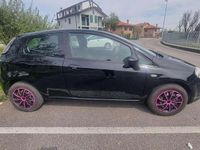 Usata Fiat Punto Evo S 77 CV (56 kW) 2013 Utilitaria