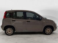 Usata Fiat Panda Easy 69 CV (50 kW) 2018 Grigio Utilitaria