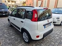 usata Fiat Panda Cross 1.0 FireFly S&S Hybrid City usato