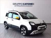 Usata Fiat Panda Icon 70 CV (51 kW) 2025 Bianco Utilitaria