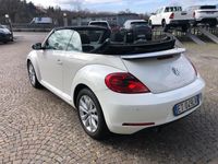 usata VW Maggiolino Cabrio 1.6 TDI DSG Design