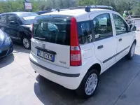Usata Fiat Panda Dynamic 77 CV (56 kW) 2011 Bianco Utilitaria