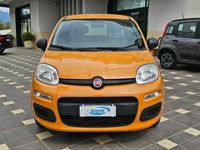 usata Fiat Panda Panda1.2 Easy easypower Gpl 69cv