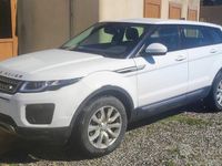 Usata Land Rover Range Rover evoque SE 204 CV (150 kW) 2018 Bianco SUV
