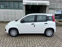 Nuova Fiat Panda Icon 69 CV (50 kW) 2025 Bianco Utilitaria