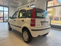Usata Fiat Panda Dynamic 60 CV (44 kW) 2009 Bianco Utilitaria