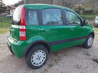 Usado Fiat Panda 4x4 69 CV (50 kW) 2010 Verde Utilitario