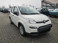 Usata Fiat Panda S 69 CV (50 kW) 2024 Bianco Utilitaria