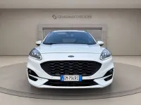 Usata Ford Kuga ST-Line X 225 CV (165 kW) 2023 Bianco SUV