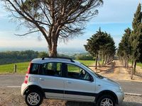 Usata Fiat Panda 4x4 69 CV (50 kW) 2009 Grigio Utilitaria