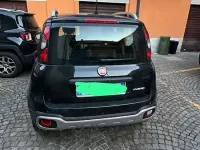 Usata Fiat Panda Cross Cross 69 CV (50 kW) 2021 Utilitaria