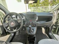 usata Fiat Panda Cross City verde - maggio 2021