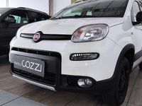 Usata Fiat Panda 4x4 Wild 85 CV (62 kW) 2022 Bianco Utilitaria