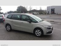 usata Citroën C4 GrandS.T. BlueHDi 130 S&S EAT8 Feel