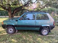 Usata Fiat Panda 4x4 Trekking 54 CV (39 kW) 2002 Verde Utilitaria