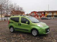 Usata Fiat Qubo Trekking 95 CV (69 kW) 2011 Verde Monovolume