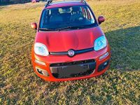 Usata Fiat Panda Easy 69 CV (50 kW) 2015 Rosso Utilitaria