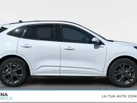 Usata Ford Kuga ST-Line X 152 CV (111 kW) 2023 Bianco SUV