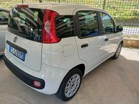 Usata Fiat Panda Easy 95 CV (69 kW) 2018 Bianco Utilitaria