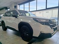 Usata Subaru Forester 4dventure 136 CV (100 kW) 2024 Bianco perlato micalizzato SUV