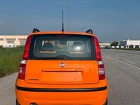 Usata Fiat Panda 60 CV (44 kW) 2009 Arancione Utilitaria