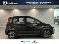 usata Fiat Panda Cross 1.0 FireFly S&S Hybrid City