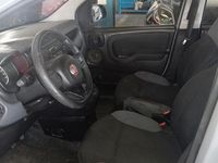 Usata Fiat Panda Easy 69 CV (50 kW) 2019 Grigio Utilitaria