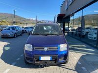 Usata Fiat Panda 4x4 Climbing 60 CV (44 kW) 2007 Blu Utilitaria
