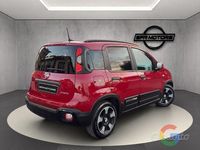 Usata Fiat Panda Cross Cross 71 CV (52 kW) 2025 Utilitaria