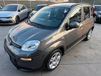 Usata Fiat Panda Cross Cross 69 CV (50 kW) 2022 Grigio Utilitaria