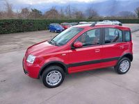 Usata Fiat Panda 4x4 Climbing 60 CV (44 kW) 2010 Rosso Utilitaria