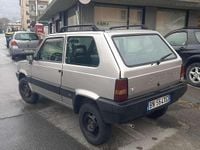 Usata Fiat Panda 4x4 Trekking 54 CV (39 kW) 2001 Utilitaria