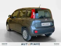 Usata Fiat Panda S 69 CV (50 kW) 2022 Grigio Utilitaria