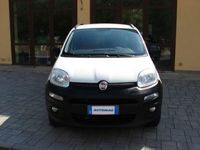 usata Fiat Panda 4x4 1.3 MJT Pop Van 2 posti usato