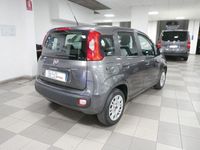 usata Fiat Panda 3ª serie 1.2 EasyPower Easy