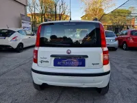 Usata Fiat Panda Dynamic 60 CV (44 kW) 2008 Bianco Utilitaria