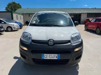 Usata Fiat Panda 4x4 Pop 85 CV (62 kW) 2021 Bianco Utilitaria