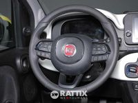 Usata Fiat Panda Cross Cross 70 CV (51 kW) 2025 Nero pastello Utilitaria