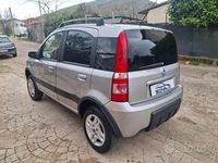 Usata Fiat Panda 4x4 Climbing 69 CV (50 kW) 2006 Argento Utilitaria