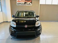 usata Fiat Panda 1.0 70cv Hybrid My24 KM0 "Pronta consegna"