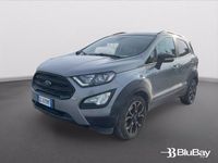 Usata Ford Ecosport Active 125 CV (91 kW) 2022 Argento SUV