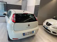 Usata Fiat Punto Lounge 69 CV (50 kW) 2014 Bianco Utilitaria