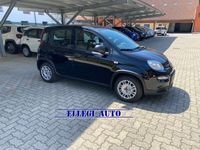 usata Fiat Panda 1200 GPL KM ZERO Castello di Annone