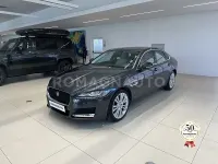 Usata Jaguar XF Business Edition 179 CV (131 kW) 2016 Grigio Berlina