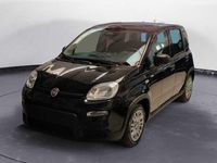 Nuova Fiat Panda 70 CV (51 kW) 2025 Nero Utilitaria
