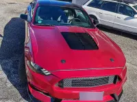 Usata Ford Mustang 290 CV (213 kW) 2023