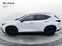 Usata Lexus NX300h Sport Line 243 CV (178 kW) 2022 Bianco SUV